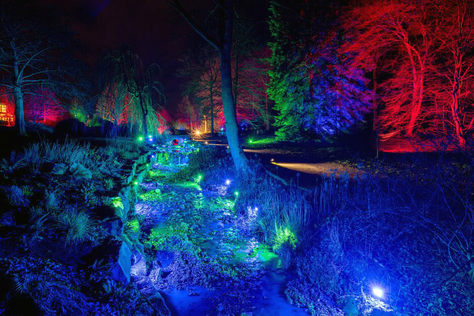 Glow Winter Illuminations at RHS Garden Harlow Carr Fun, family days