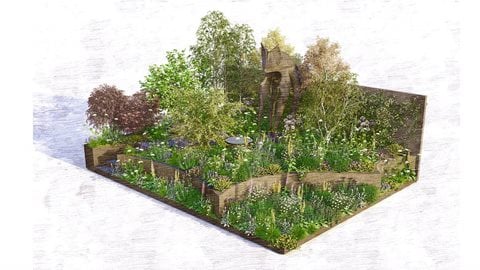 The Bat Conservation Trust’s Nocturnal Garden