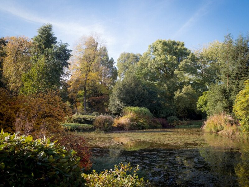 Arboretum Kalmthout in autumn by Frederik Vercruysse Arboretum Kalmthout in autumn by Frederik Vercruysse
