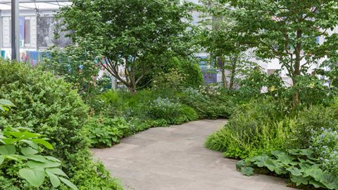 A celebration of the 60th anniversary of The Garfield Weston Foundation, this garden uses recycled materials including some of the plants which have made an appearance at previous flower shows.