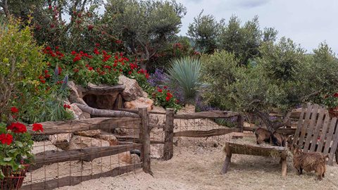 Come and meet some of the more unusual residents of this year's show