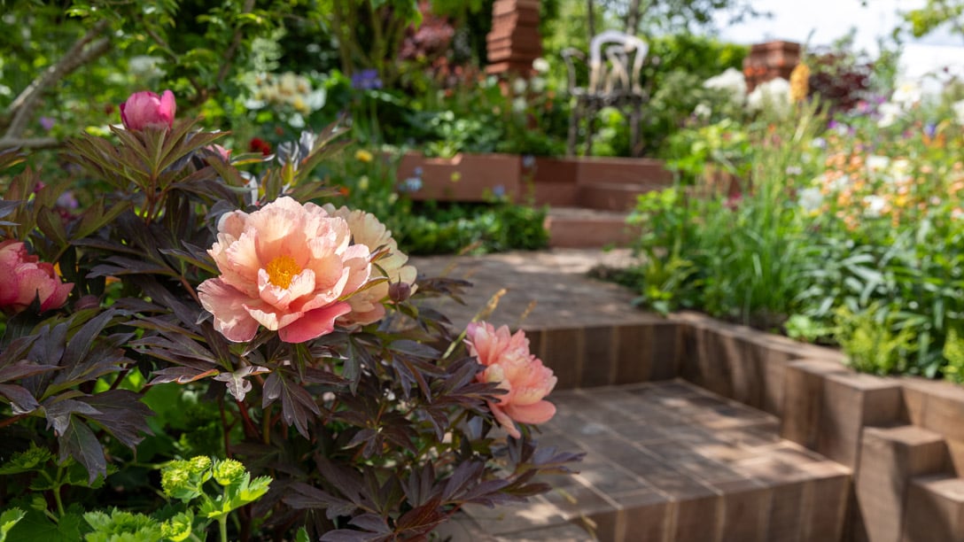 The Plant Heritage Missing Collector Garden