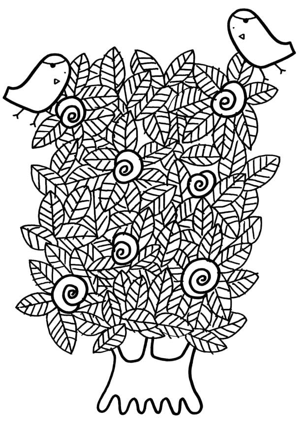 Colouring Rhs 1000+ images about Coloring Pages on Pinterest | Coloring pages ...