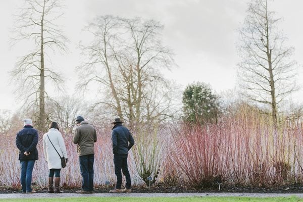 people on a walk through the gardens