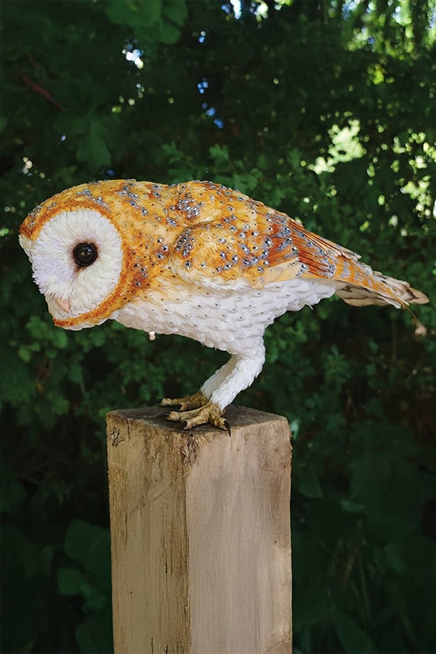 Solstice by Jamie Lord