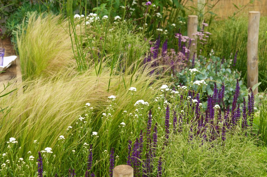 Best Small Trees For Coastal Gardens Garden Design Ideas