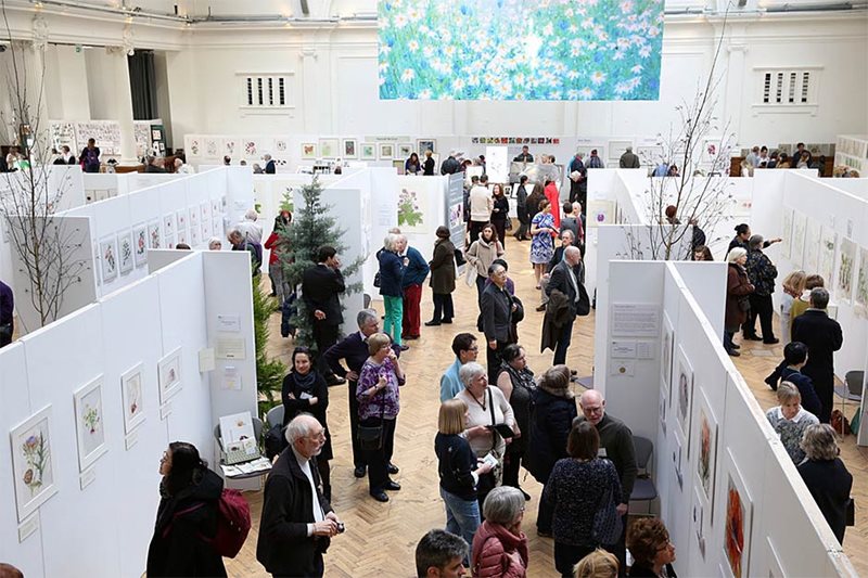 Find out how to enter RHS Botanical Art exhibitions / RHS Gardening
