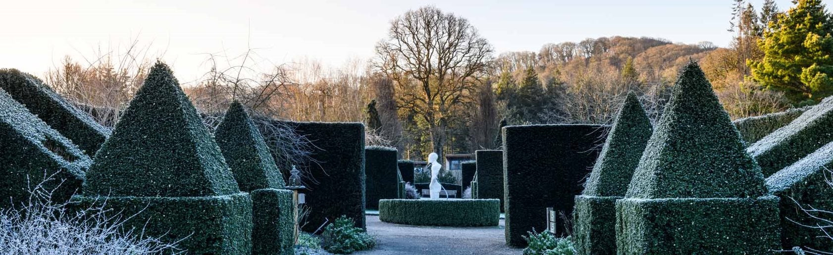 photograph of the garden