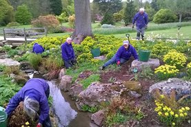 Volunteers working hard at RHS Garden Harlow Carr