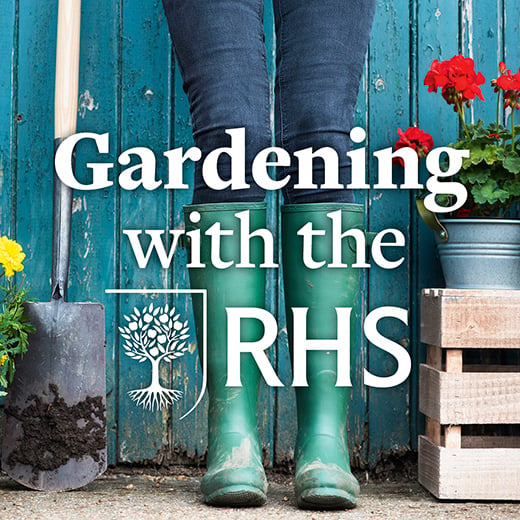 Bring to your garden with berrying RHS Gardening