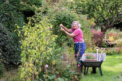 Gardening for wellbeing