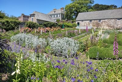 The bee garden at Mothecombe House