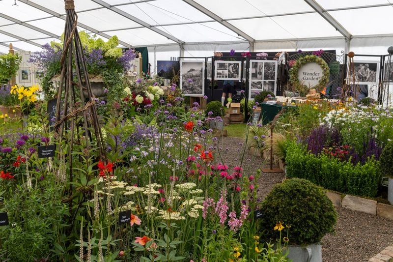Master Grower display in the Floral Marquee