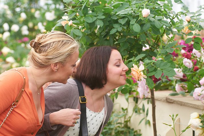 Women enjoy the scent of a rose