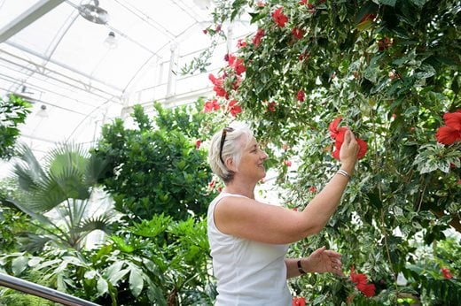 Woman looking at blooms in the Glasshouse