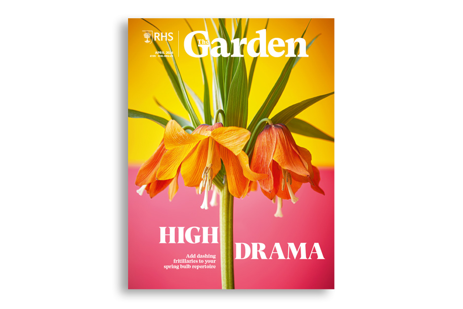 Dare to add dashing drama queens, fritillaries to your repertoire of spring bulbs. Discover a world of flavour at Kitchen Garden Plant Centre that serves up an array of herbs. Find 18 ways to support the charismatic mammals &ndash; hedgehogs. Get recommendations from the experts for top plants to boost health and wellbeing. Hop into spring at a former hop garden in Sussex that fizzes with tulips. Visit a modern garden on France&rsquo;s Normandy coast which has ancient roots.Available for members on RHS The Garden app.
