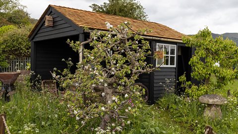 A slice of rural Gloucestershire brought to Malvern, this orchard garden contains old fruit trees above a carpet of colourful wildflowers including ragged robin and foxgloves.