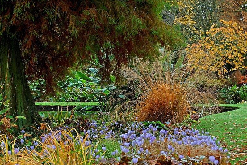 The Beth Chatto Garden, Essex