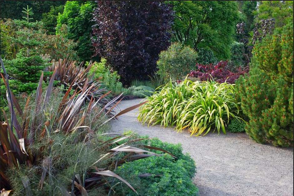Rhs Gardening, Year Round Plants For Landscaping Uk