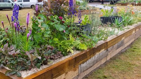 The Calm at the Centre