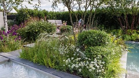 An urban garden on several levels, it perfectly combines soft and wildlife-friendly planting with moving water, a dipping pond and contemporary black granite landscape materials