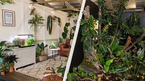 A Reflection of Nature