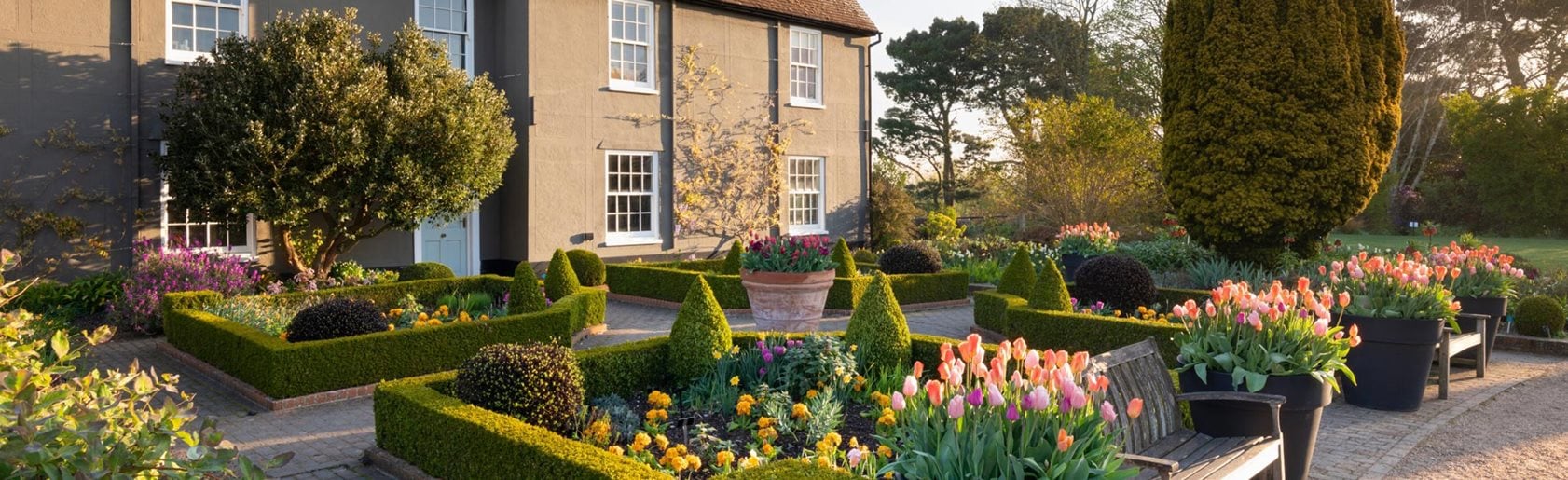 photograph of the garden