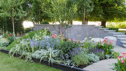 On The Edge: The Centre for Mental Health Garden