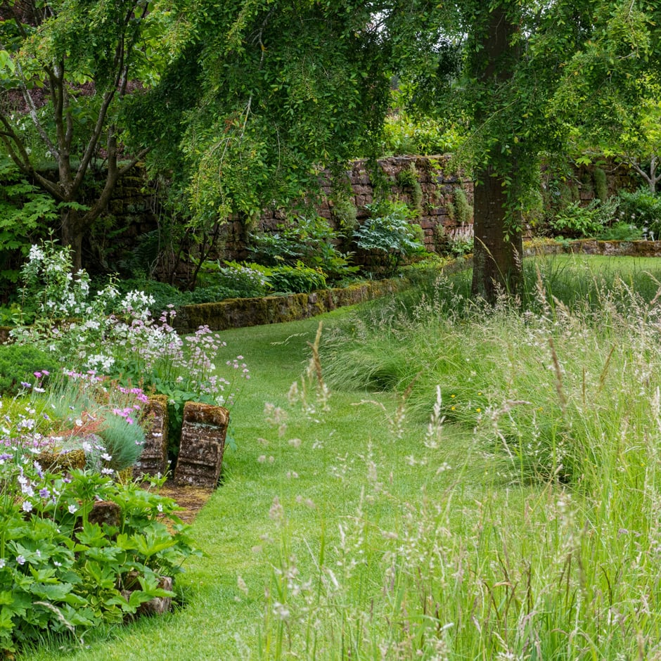 Try a combination of mown and unmown areas in your garden for a naturalistic look that provides for wildlife
