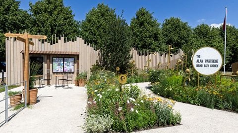 The Alan Partridge Sound Bath Garden