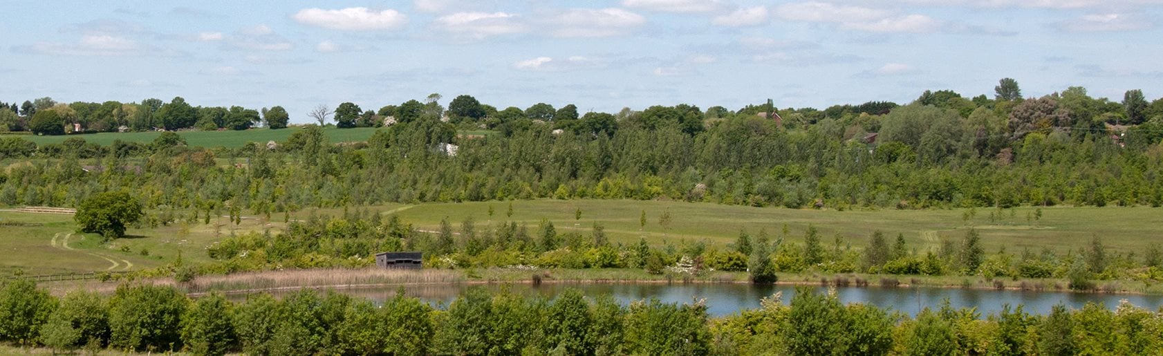 photograph of the garden