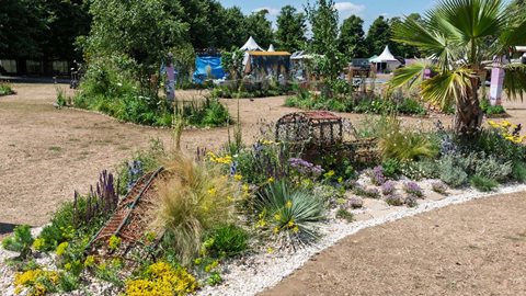 Sunlight Shining Through