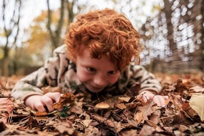 Discovering fungi at an RHS Garden