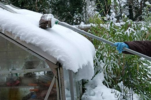 sweeping snow from greenhouse