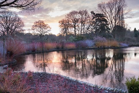 A view of the Wisley Winter Walk