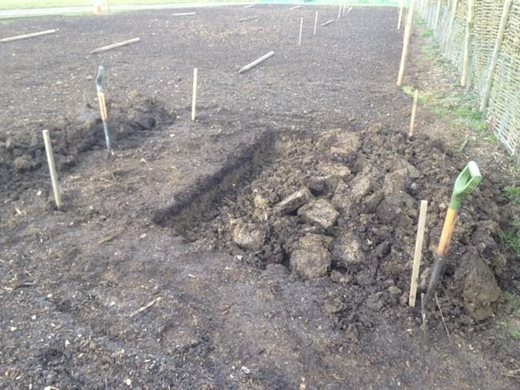 Double digging planting pits