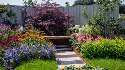 A Japanese maple provides a backdrop for vibrant planting inspired by The Beatles