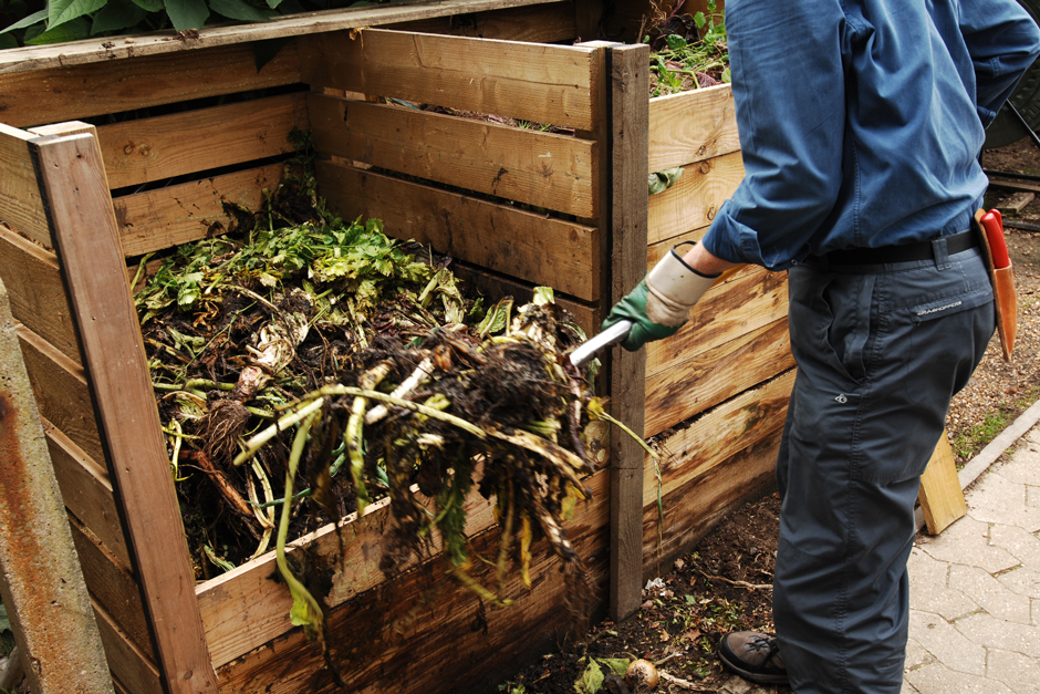 The compost heap is the powerhouse behind the no-dig method
