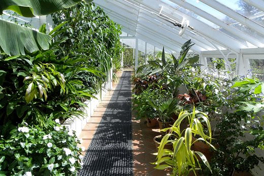 View of greenhouse at Winterbourne House