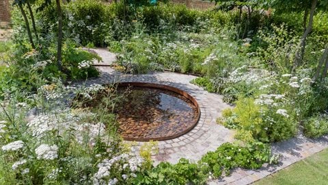 Soft and gentle planting in a refined colour palette that incorporates hues of white and tones of green offset with hints of yellow and purple combine in this atmospheric and calming garden.