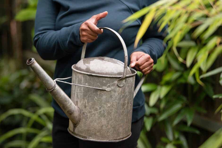 RHS guide to managing water in your garden