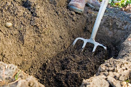 Double digging