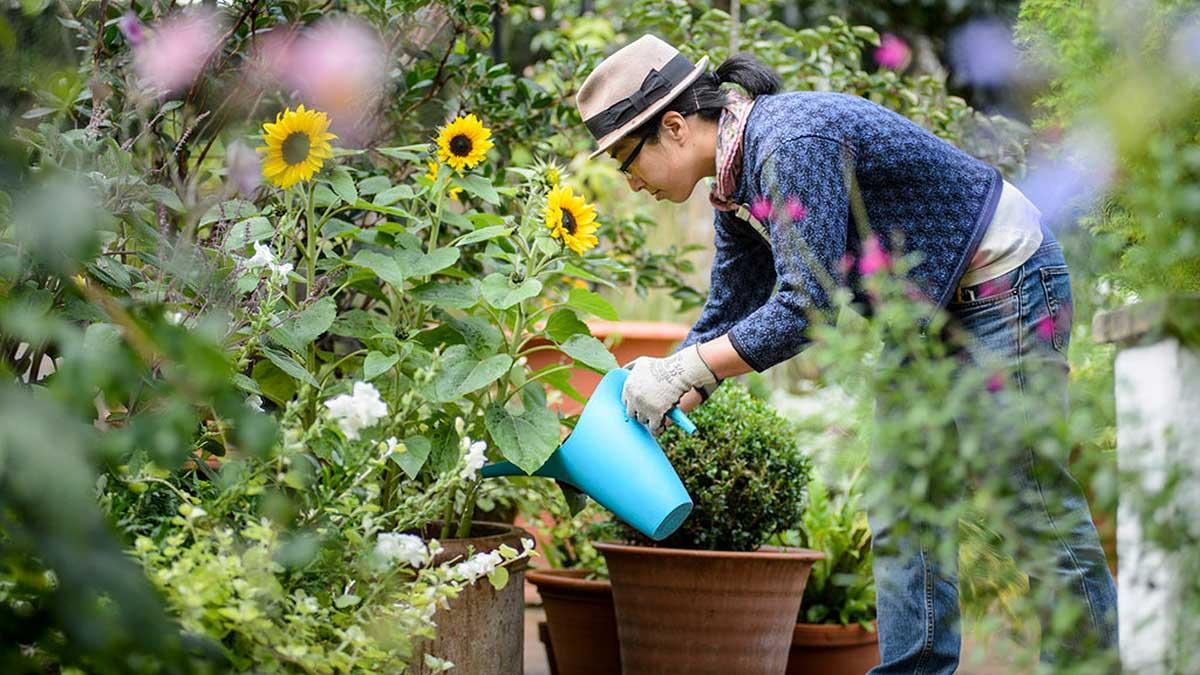 Dw Fine Gardening Gardening Tips And Tricks