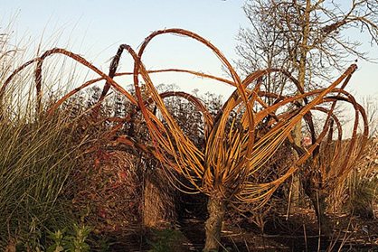 Woven willow sculptures at RHS Garden Hyde Hall