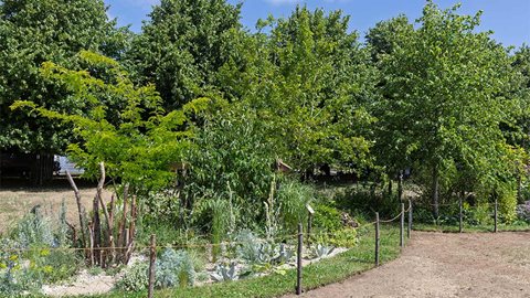 RSPB and RHS Swift Garden