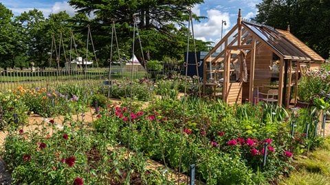 The designer, who had Covid in 2020, responded to the challenges of the virus by encouraging as many people as possible to sow, grow and harvest their own flowers