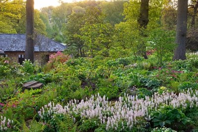 garden in shape for spring