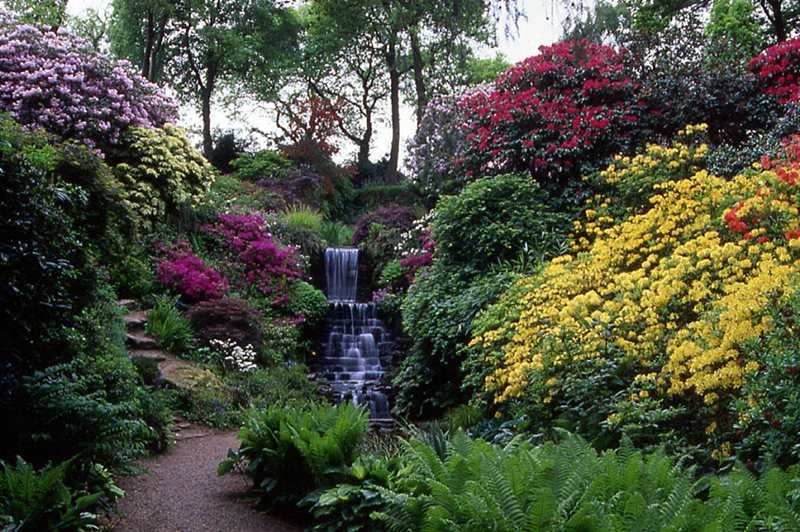 Waterfall at the Dorothy Clive Garden, an RHS Partner Garden