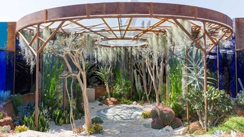 Cacti, airplants and succulents are interspersed in the design, mimicking corals and seaweed