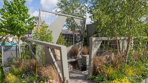 Mind Trap sponsored by id verde